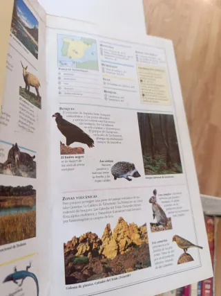 Guia de España publicada 1996 (colección)