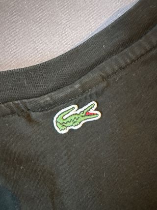 Camiseta Lacoste Cocodrilo Verde Negra