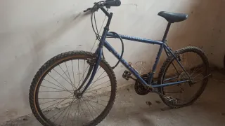 Bicicleta de Montaña ULYSSES Competición