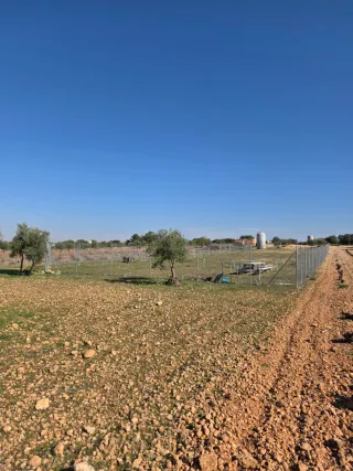 Tereno