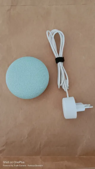 Google Home Mini