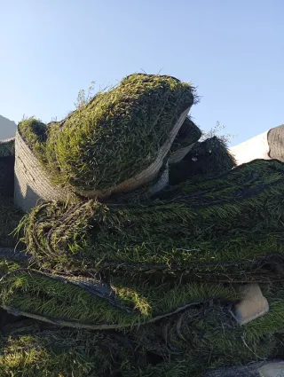 Venta de césped artificial