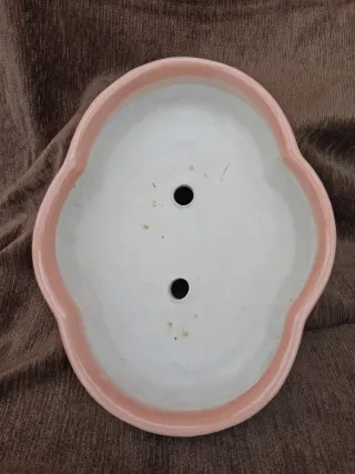 Maceta Cerámica Ovalada