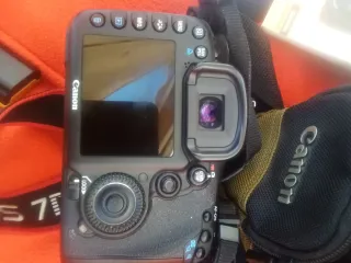 Canon EOS 7D con 9677 shuttercount