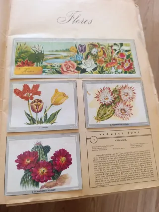 Libro de cromos Naturaleza y Color casi completo