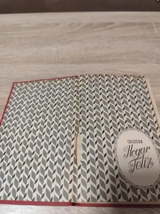 ​La Dama y el Vagabundo (1973)