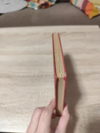 ​La Dama y el Vagabundo (1973)