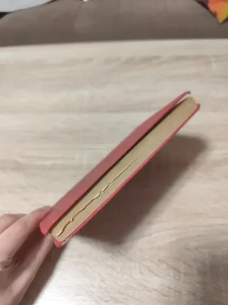 ​La Dama y el Vagabundo (1973)