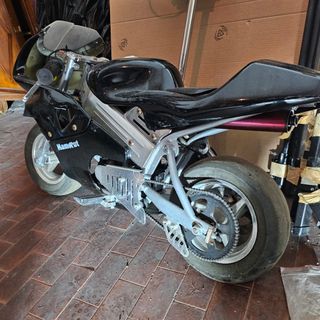 Minimoto 50cc Mammut