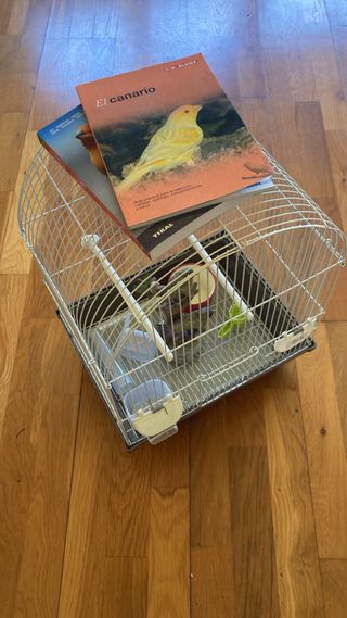 Lote variado de todo