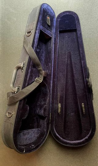 Violín Palatino con funda y arco