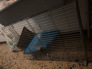 Jaula para chinchilla o roedor, con accesorios