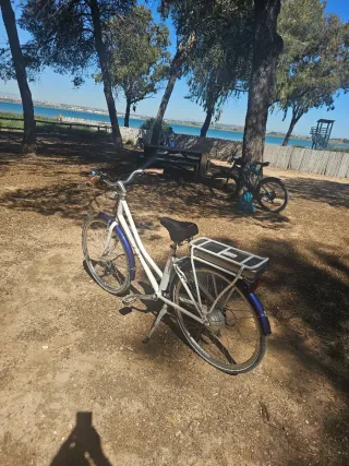 Bicicleta Pendleton Somerby Mujer Eléctrica