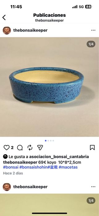 Maceta bonsai cerámica azul y beige