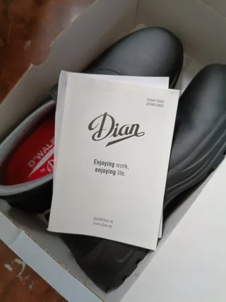 Zapatos de trabajo Dian negros.