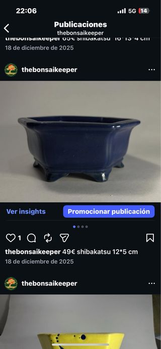 Maceta bonsai cerámica azul