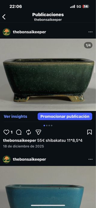 Maceta bonsai cerámica verde y oro