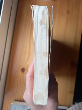 El caballero del jubon amarillo/ The Gentleman ...