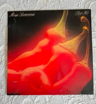 2 Carpetas de Vinilos decorativas, sin disco. 1979