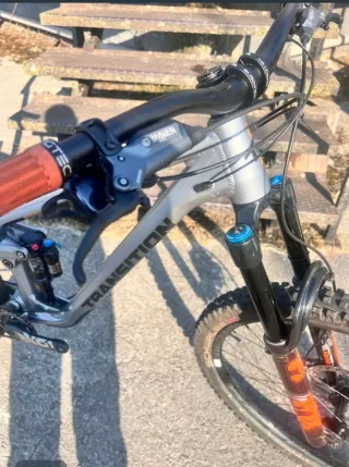 Transition Sentinel Raw Alloy 29