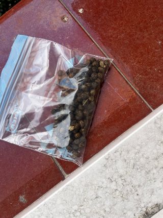 Abono natural para plantas(25 gr)