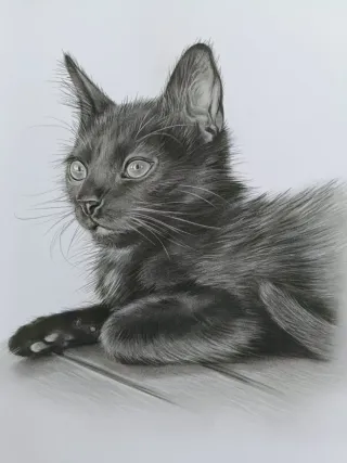 Retratos y caricaturas profesionales