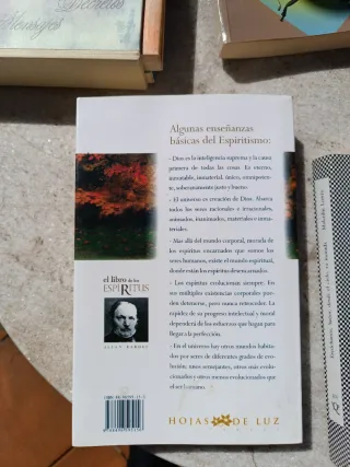 LIBRO DE LOS ESPIRITUS, EL -Ant. Ed. (Spanish E...