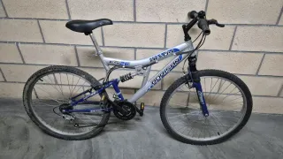 Bicicleta de Montaña