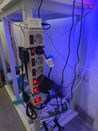 Acuario completo 60L + soporte + gambas + peces ++