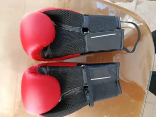 Guantes de Boxeo 14 oz Rojos