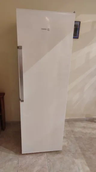 Nevera de una puerta Fagor FFK1674
