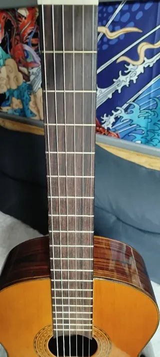 Guitarra Fco. Esteve Concierto