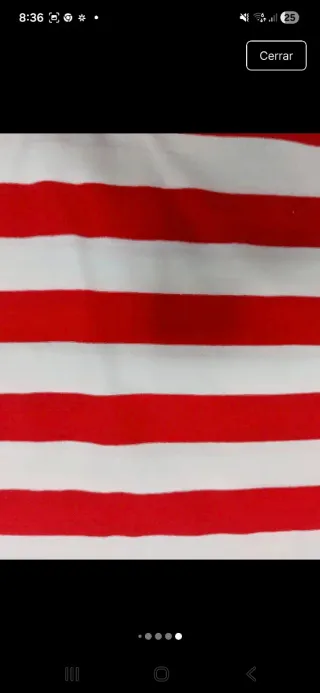 Camiseta Polo Ralph Lauren rayas rojas y blancas