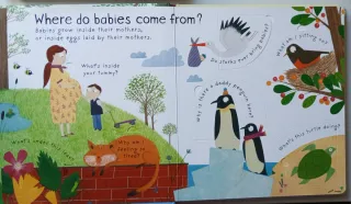 Where Do Babies Come From,  with lots of flaps