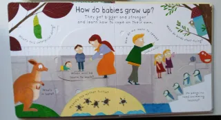 Where Do Babies Come From,  with lots of flaps