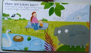 Where Do Babies Come From,  with lots of flaps