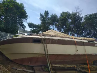 Lancha blanca y marrón