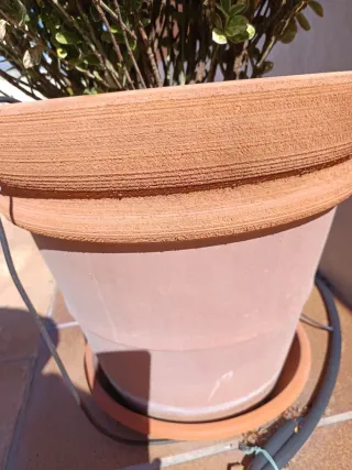 Maceta de terracota grande