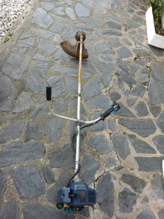 Desbrozadora de gasolina