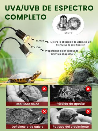 GlowUp Lampara Tortuga de Tierra con Temporizador,