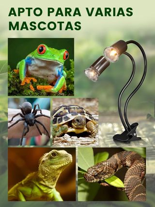 GlowUp Lampara Tortuga de Tierra con Temporizador,