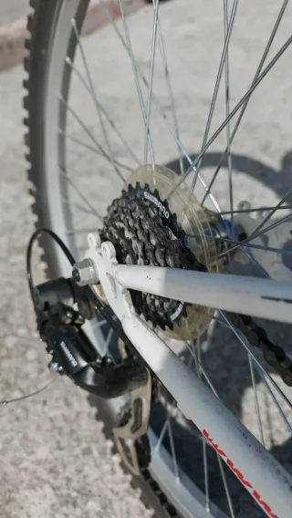 Bicicleta infantil BH Oregon 24 pulgadas