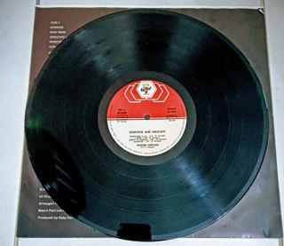 Stephen Schlaks Vinile Sensitive and Delicate