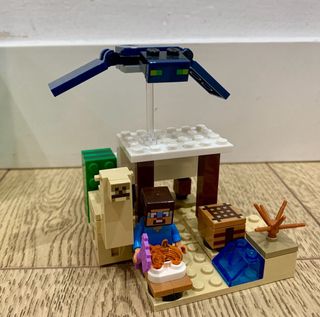 LEGO Minecraft 21251 Steve's Desert Expedition