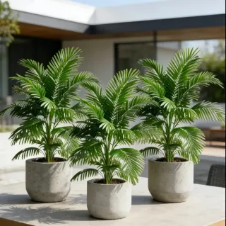 3 Plantas Artificiales 60cm aprox