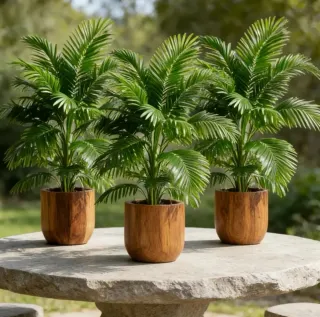 3 Plantas Artificiales 60cm aprox