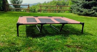 Cama elevada para perro