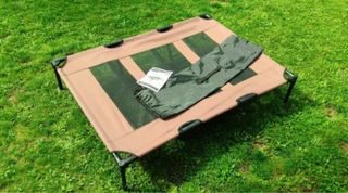 Cama elevada para perro