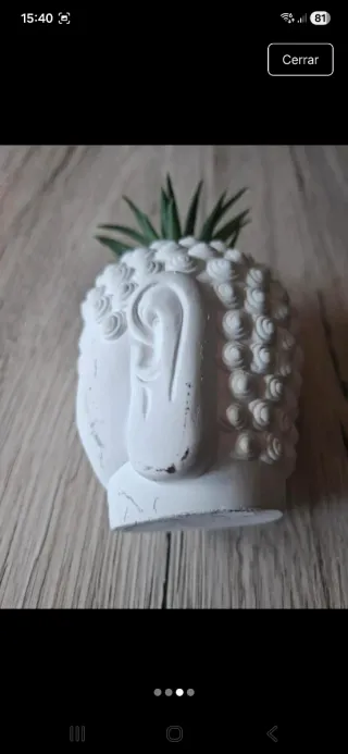 Maceta Buda con Planta y Piedras