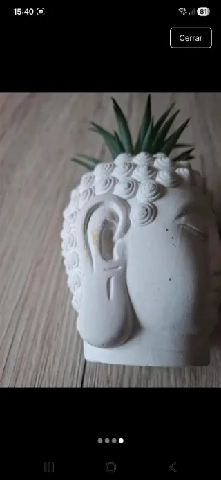 Maceta Buda con Planta y Piedras